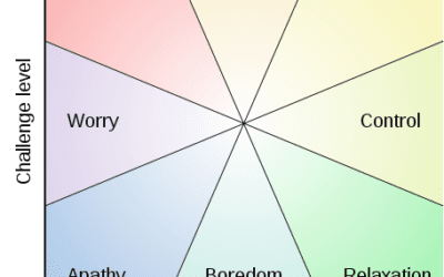 The Flow Model in Learning